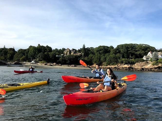 kayaks