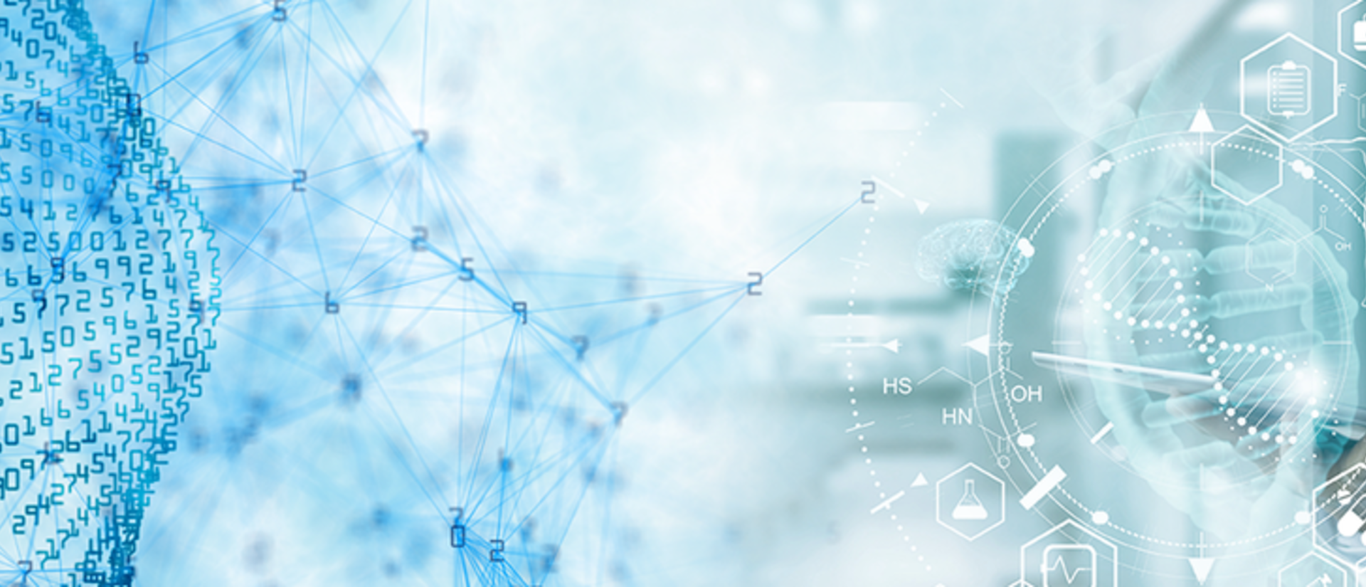 phd-bmi-shutterstock_1463056853-1200x460.png